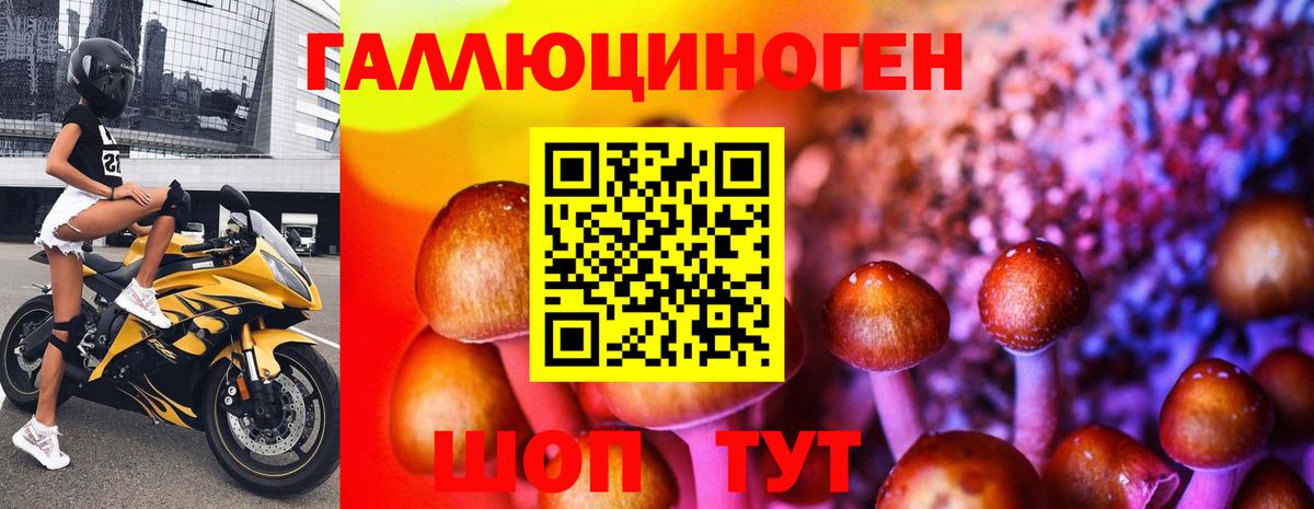 Галлюциногенные грибы прущие грибы Ртищево